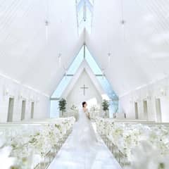 ＼早割プラン／27年4月～6月【60名299万円】39万円特典付き
