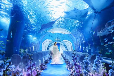 【公式】品川プリンスホテル　ウエディング│品川駅徒歩2分の結婚式場