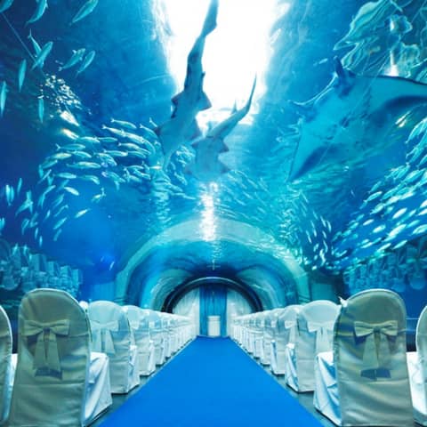 ブライダルフェア 公式 品川プリンスホテル ウエディング 品川駅徒歩2分の結婚式場 ブライダルフェア 公式 品川プリンスホテル ウエディング 品川駅徒歩2分の結婚式場