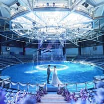 【公式】品川プリンスホテル　ウエディング│品川駅徒歩2分の結婚式場