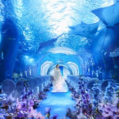 【朝の水族館を貸し切り♪】アクアマリンウエディングセレモニー