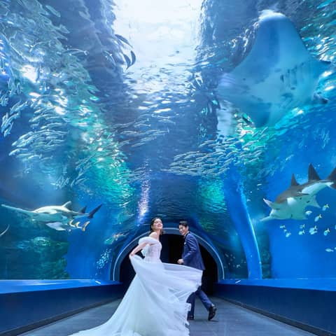 【朝の水族館を貸し切り♪】アクアリウム ウエディングセレモニー