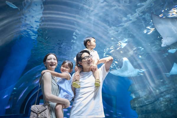 【公式】品川プリンスホテル ウエディング│品川駅徒歩2分の結婚式場