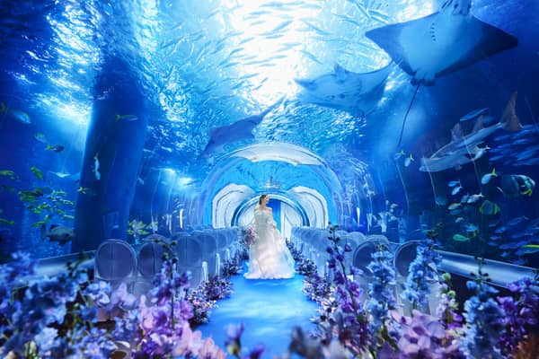 【公式】品川プリンスホテル ウエディング│品川駅徒歩2分の結婚式場