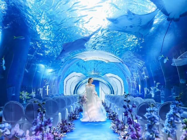 【公式】品川プリンスホテル ウエディング│品川駅徒歩2分の結婚式場