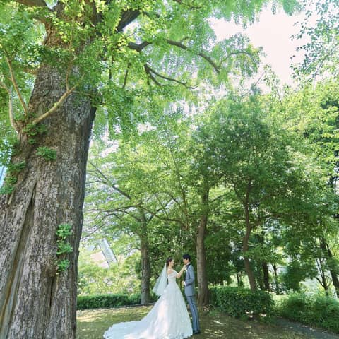 冬婚プラン◆～26年2月【70名287万円】