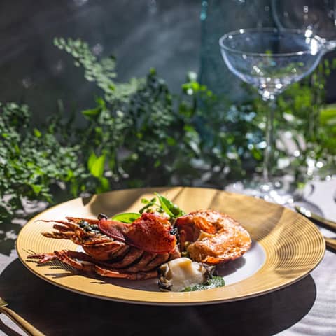 新大阪の結婚式場 | デュクラス大阪【公式】 - FiveStar wedding　