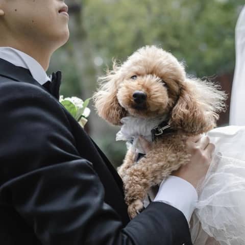 【前撮りプラン付き】大切なご家族と一緒に* ペットウェディングプラン
