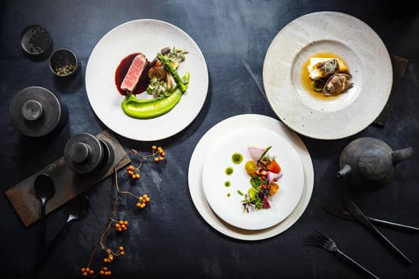 【公式】ザ・ロイヤルクラシック姫路　❘　兵庫　姫路の結婚式場