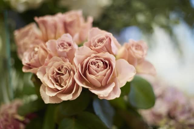 ベルクラシック旭川