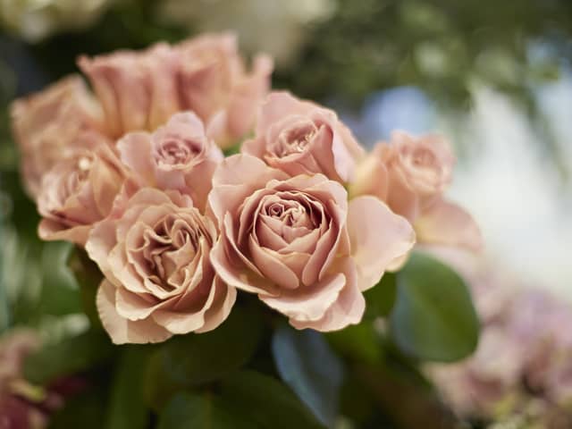 ベルクラシック旭川