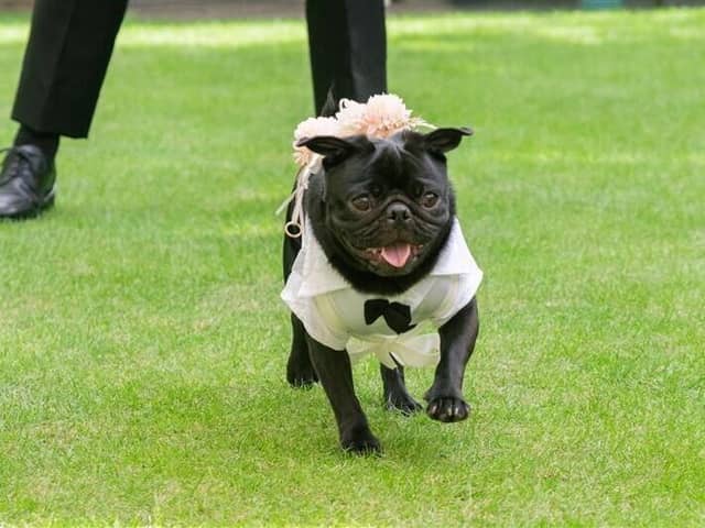 【公式】神戸北野サッスーン邸│神戸北野 異人館貸切ウェディング