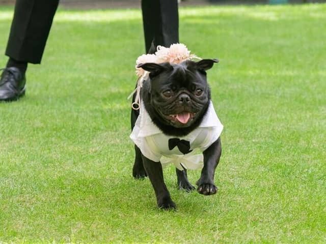 【公式】神戸北野サッスーン邸│神戸北野 異人館貸切ウェディング