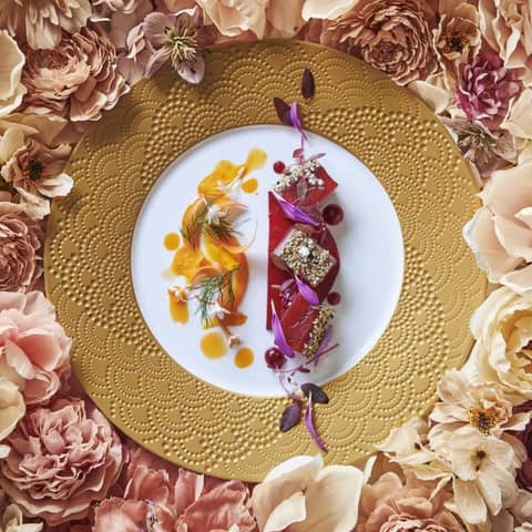 ≪空き日無くなり次第終了≫26年9月～26年10月 シーズンプラン