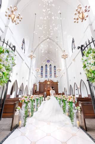 61万円相当お得！スペシャルアニバーサリー 50名様