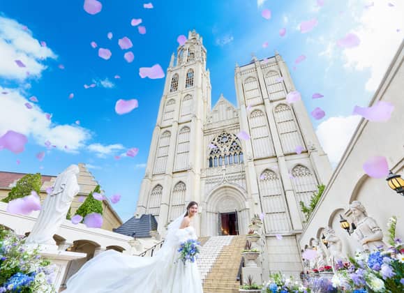 ANGELICA Notre Dame