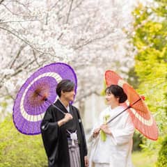 【26年3～6月春限定Plan*】緑×桜の人気シーズンをお得に！