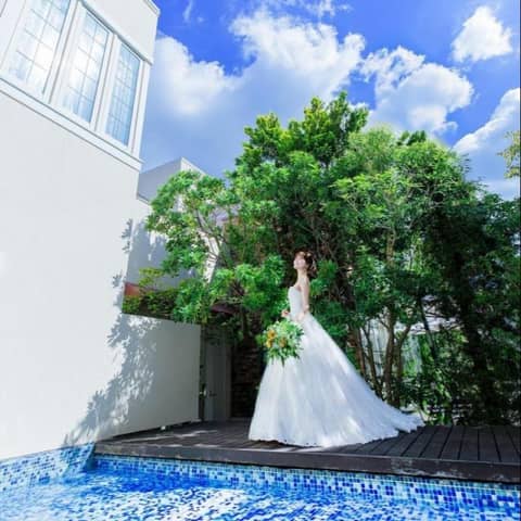 ＼直前割◎26年12月まで／50名288万⇒207万★青空×緑×光*
