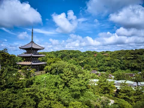 【残り物には福がある】25年3月20日仏滅なんて気にしない！特別プラン