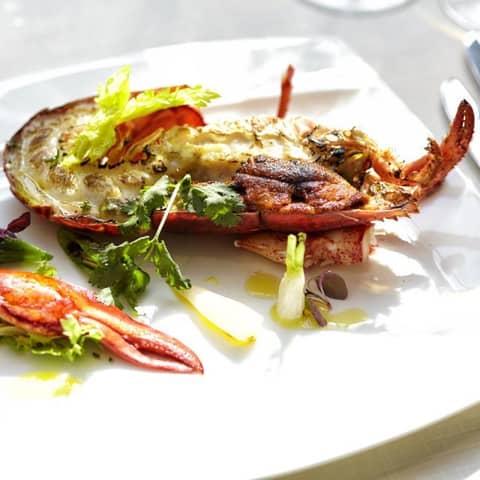 27年2月～27年3月 シーズンプラン