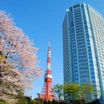 【公式】ザ・プリンス パークタワー東京ウエディング│東京タワーを臨む結婚式場