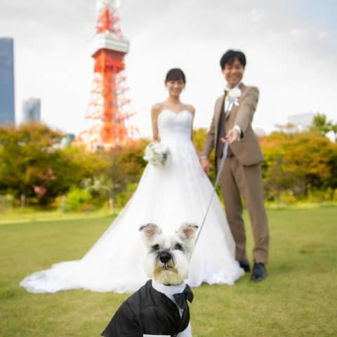 【リングドッグ×ホテル婚】愛犬と叶える上質ホテルウエディング