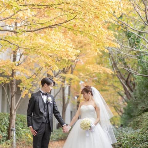 【秋プラン】2026年9～11月限定＊最大31万円ご優待