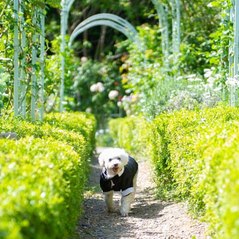 Garden Wedding at the PARK