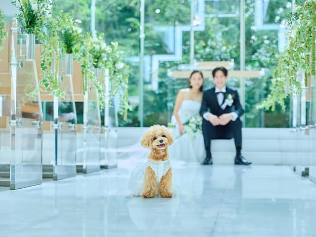 【公式】ザ・プリンス パークタワー東京ウエディング│東京タワーを臨む結婚式場