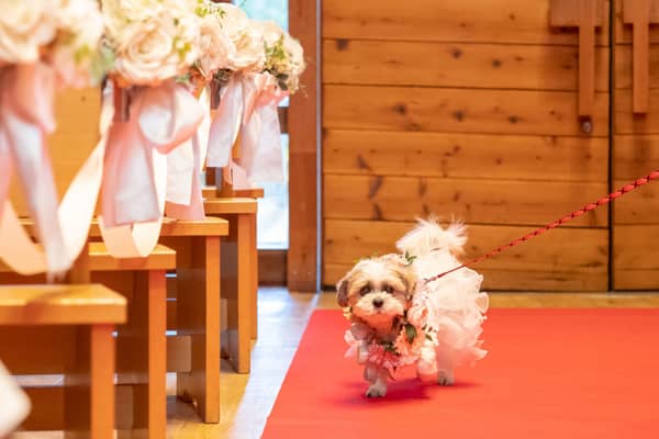 プリティチャペル大宮(エグリーズ ドゥ 葉山庵)