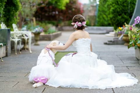 プリティチャペル大宮（エグリーズ　ドゥ　葉山庵）