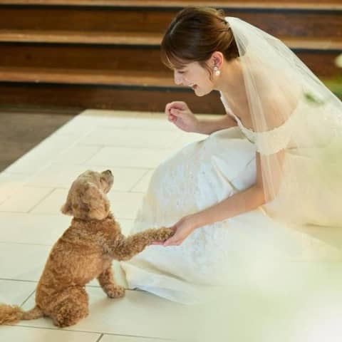 【ペットと一緒に挙式】WITH WEDDING PLAN