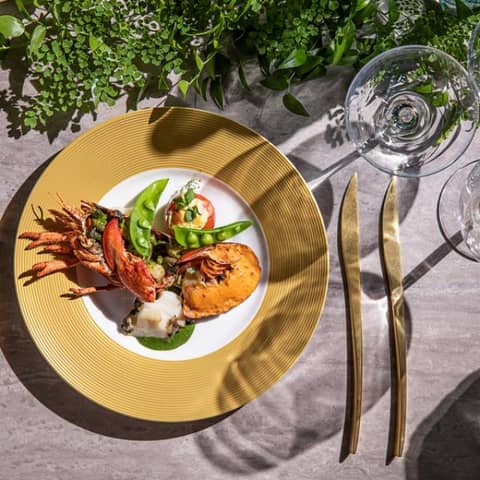 新★プラン登場！料理10％OFF特典＼最大100万円特典／
