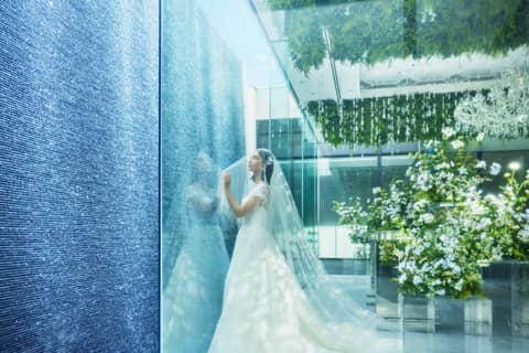【26年 春婚】＼50名55万円分特典／特典充実！スプリングプラン！