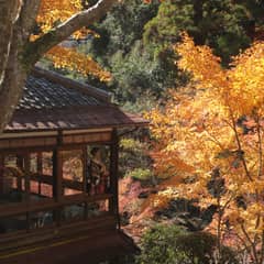 PHOTO WEDDING｜音羽山荘はなれ