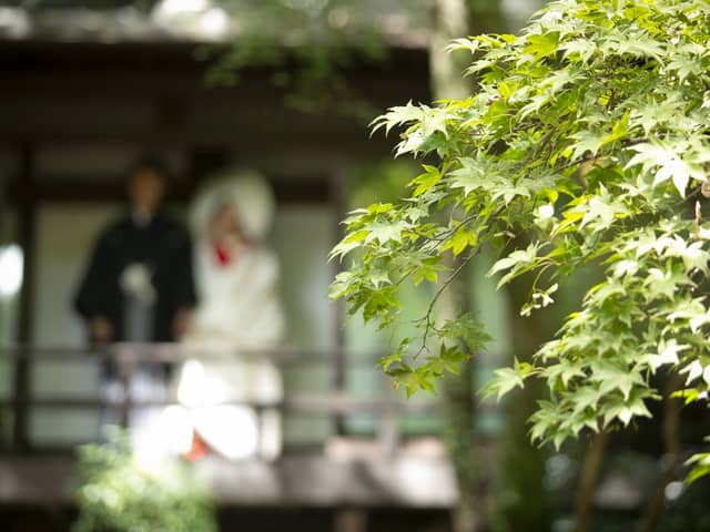 明治の森ウエディング│音羽山荘