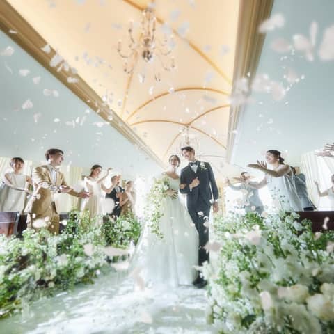 最大101万優待/26年11月～27年◆特別プラン(50名159万円）