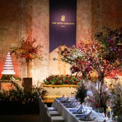 【27年10月～12月 30名～100名】Aurelia Plan