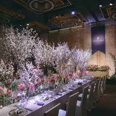 【2026年～6月限定 30名～100名】Spring Plan