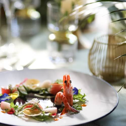 【1日体験型フェア】*＊最大54万優待＊*試食会×8大特典×ALL体験