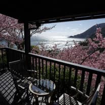 温泉旅館「桐のかほり咲楽」ペア宿泊プレゼント