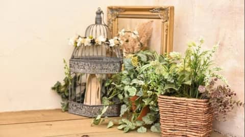 【公式】Enchante/Baum(アンシャンテ/バウム）　小野写真館グループ