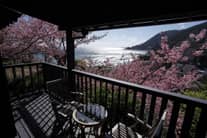 温泉旅館「桐のかほり咲楽」ペア宿泊プレゼント