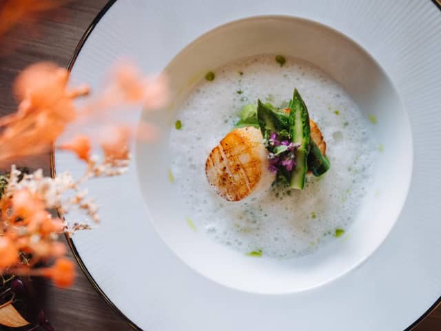 【公式】Enchante/Baum(アンシャンテ/バウム）　小野写真館グループ