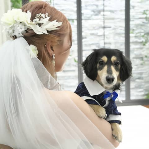 【わんちゃんOK】10名29万★貸切だから愛犬も参加できる結婚式