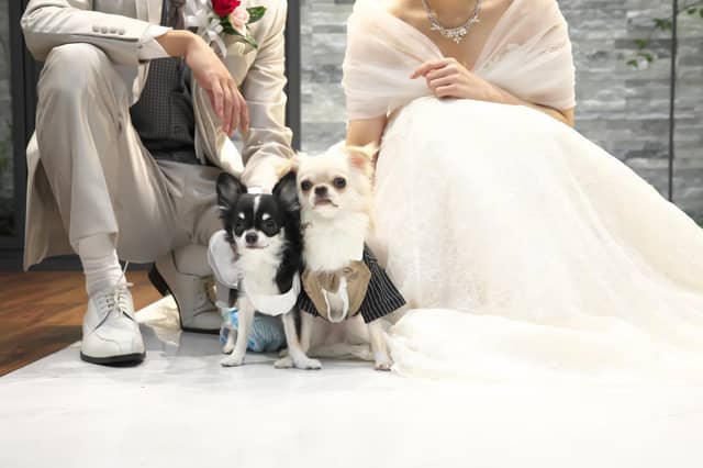 【公式】大阪・心斎橋の貸切結婚式｜カーザノーブレ オ・セイリュウ