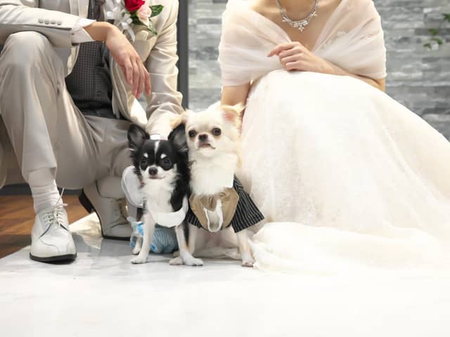 【公式】大阪・心斎橋の貸切結婚式|カーザノーブレ オ・セイリュウ