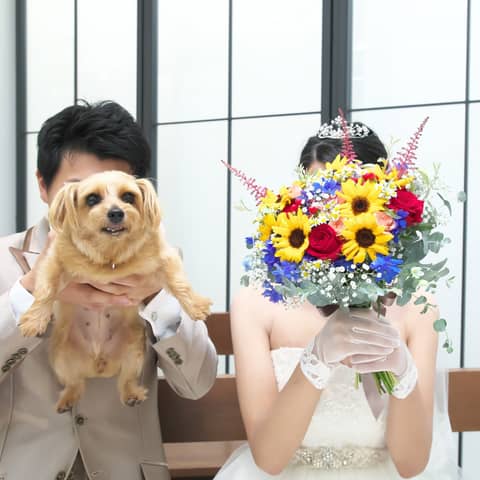 【わんちゃんOK】40名59万★貸切だから愛犬も参加できる結婚式